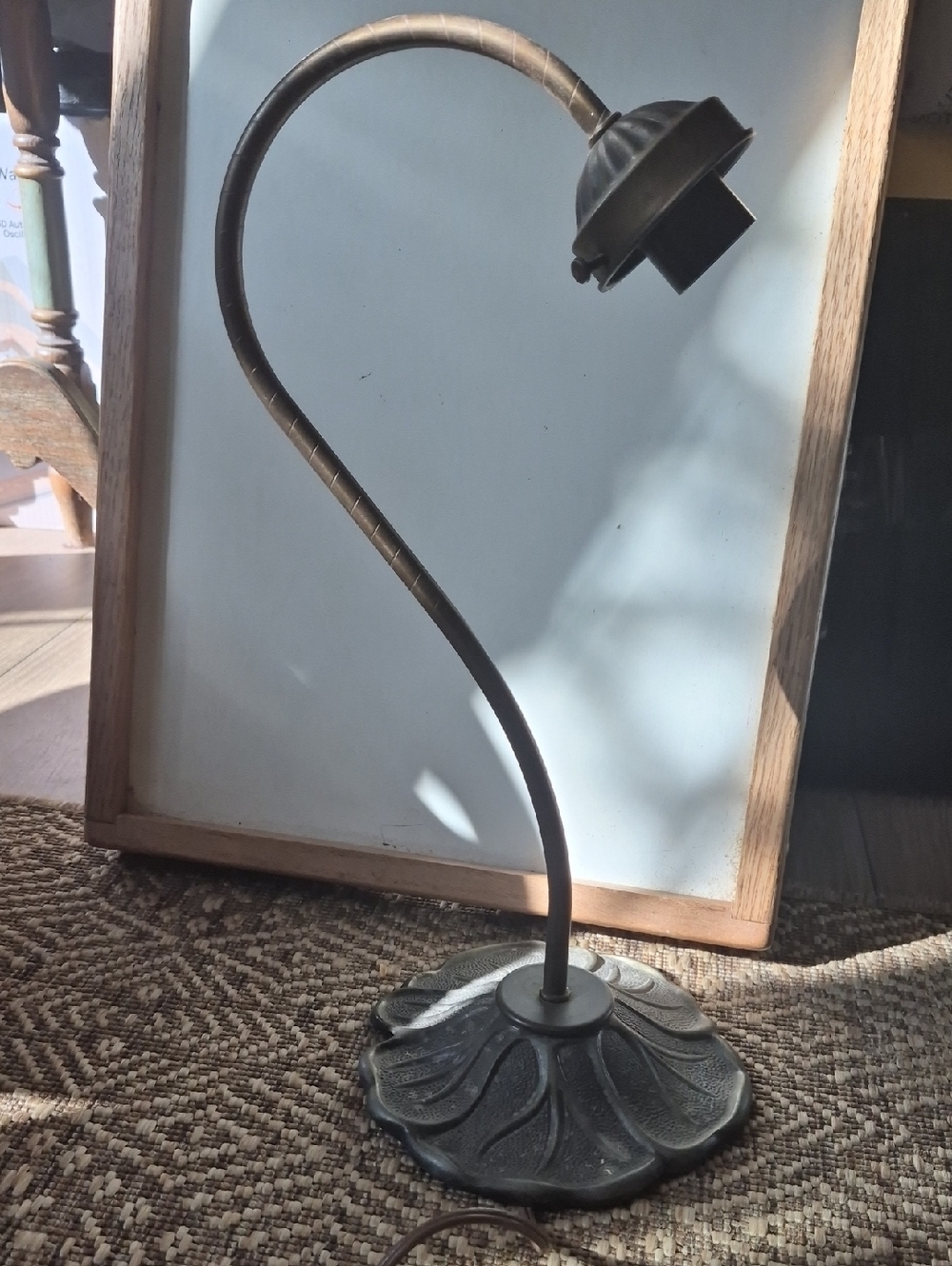 Antique Gooseneck Table Lamp in Bronze